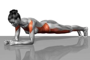 plank-300x202.jpg