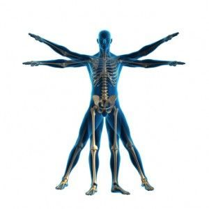 muscle-balance-300x300.png