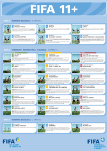FIFA-11-213x300.png